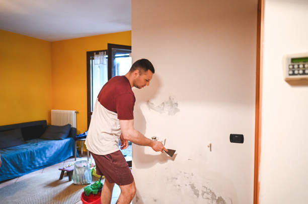 Best Black Mold Removal  in Eastpoint, FL